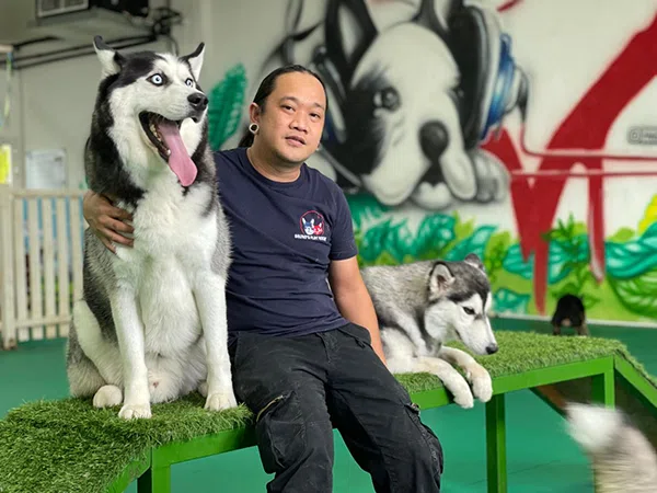 Best Dog and Pet Daycare in Dubai Bruno s Play Center