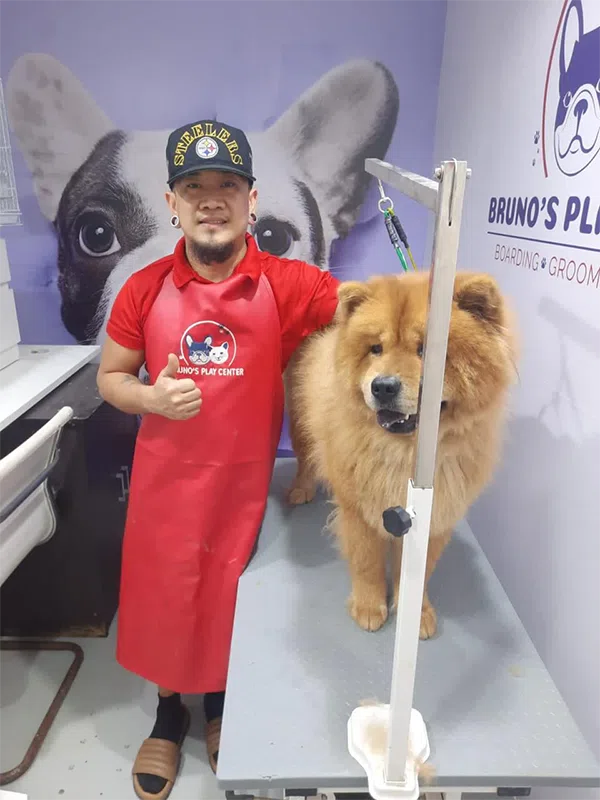 Dog Grooming in Dubai